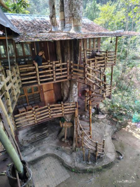 Jungle Jive Treehouse Farm